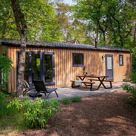 シャレー Steltloper Veluwe ヌンスペート