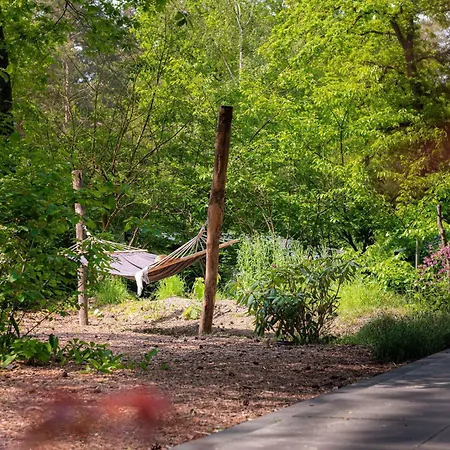 シャレー Steltloper Veluwe *